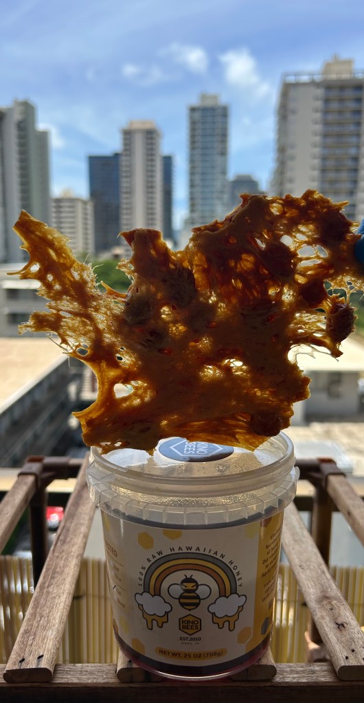 Exclusive one of a kind Hawaiian honey LAVA CRUNCH brittle - Honolulu Hawaii made with Kino Bees North Shore Honey